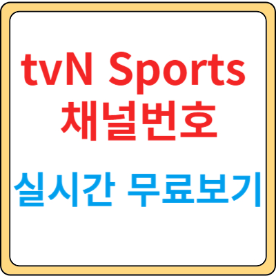 tvn sports 채널번호